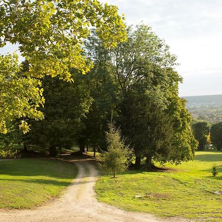 La Clairiere de la reine Hortense Saint-Prix  Bagian luar foto